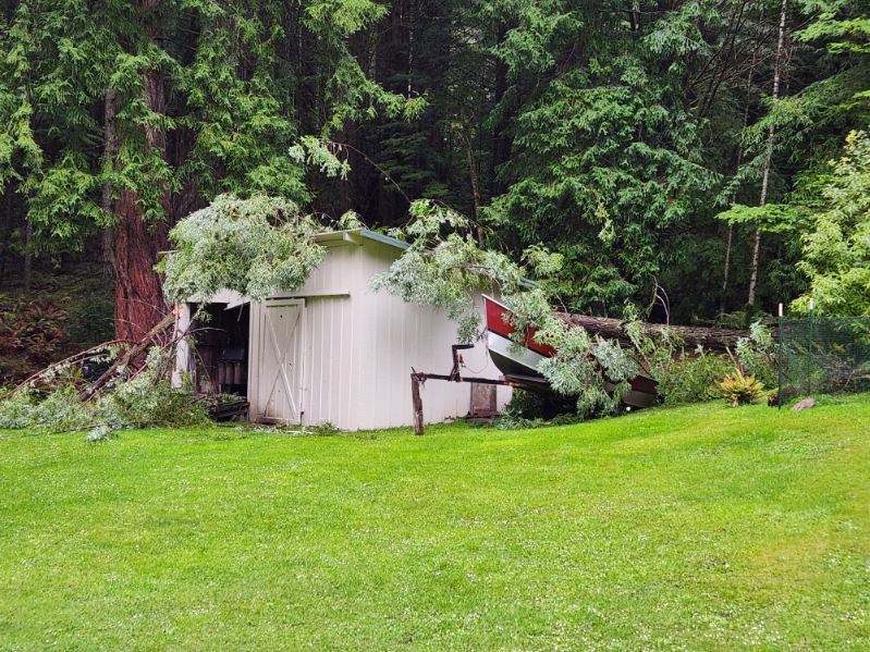 Finished cabin tucked into the forest, exterior work by NorCal Exterior, serving Willow Creek and inland Humboldt